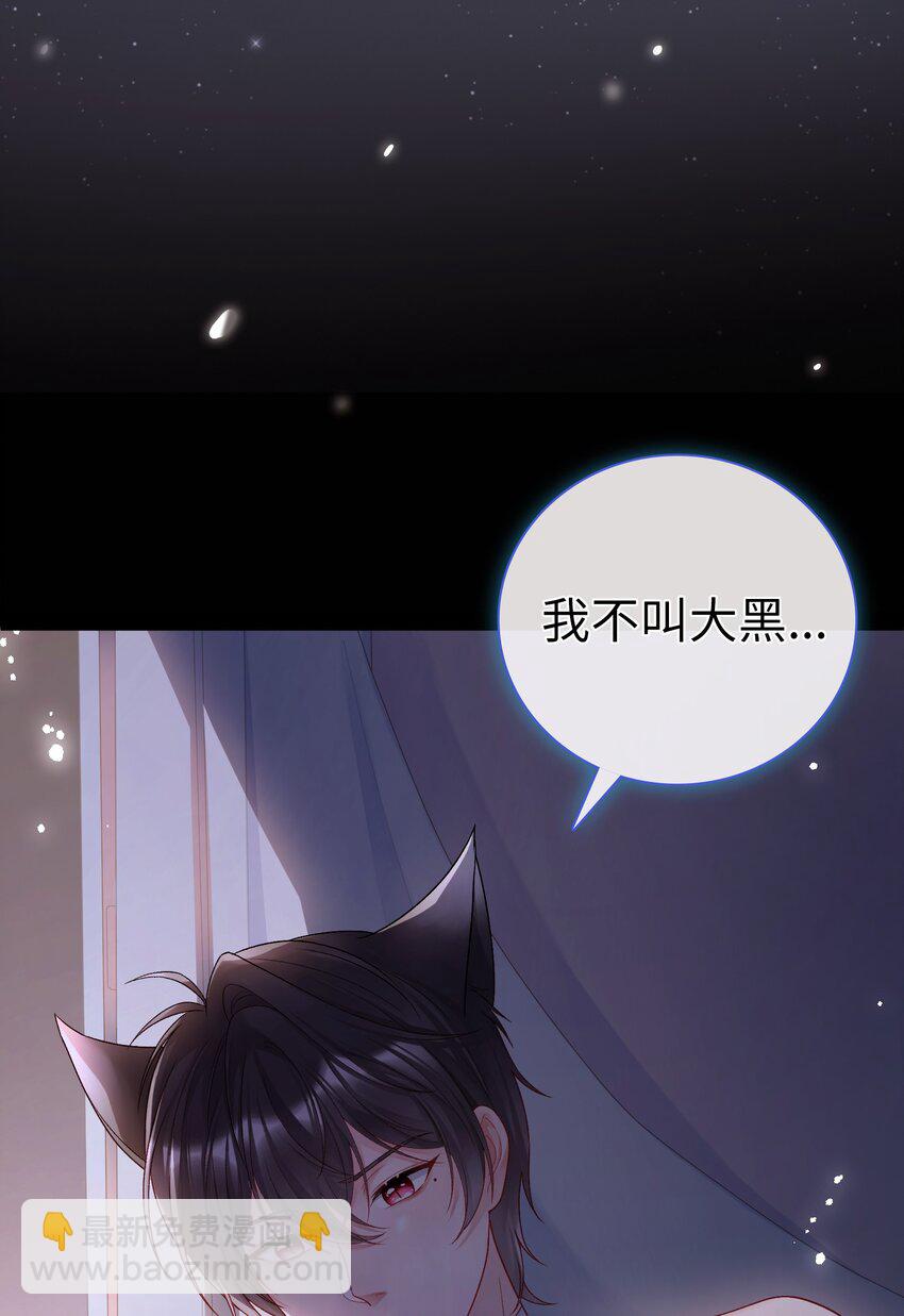 《霸总他脑子有坑》01 黑狗or黑狐？ 第29页