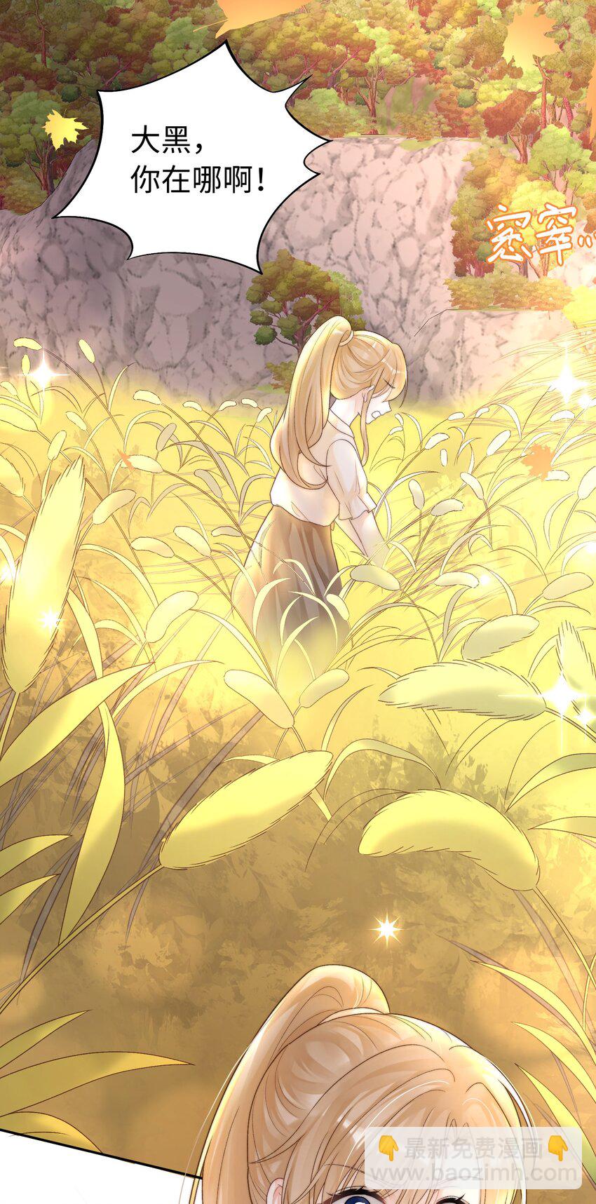 《霸总他脑子有坑》01 黑狗or黑狐？ 第5页