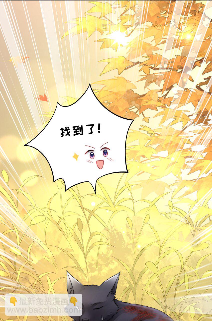 《霸总他脑子有坑》01 黑狗or黑狐？ 第9页