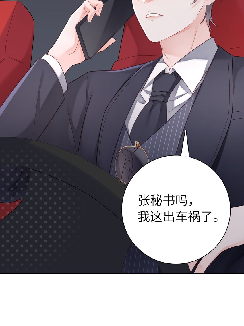 《霸总他脑子有坑》02 我才是霸总啊 第45页