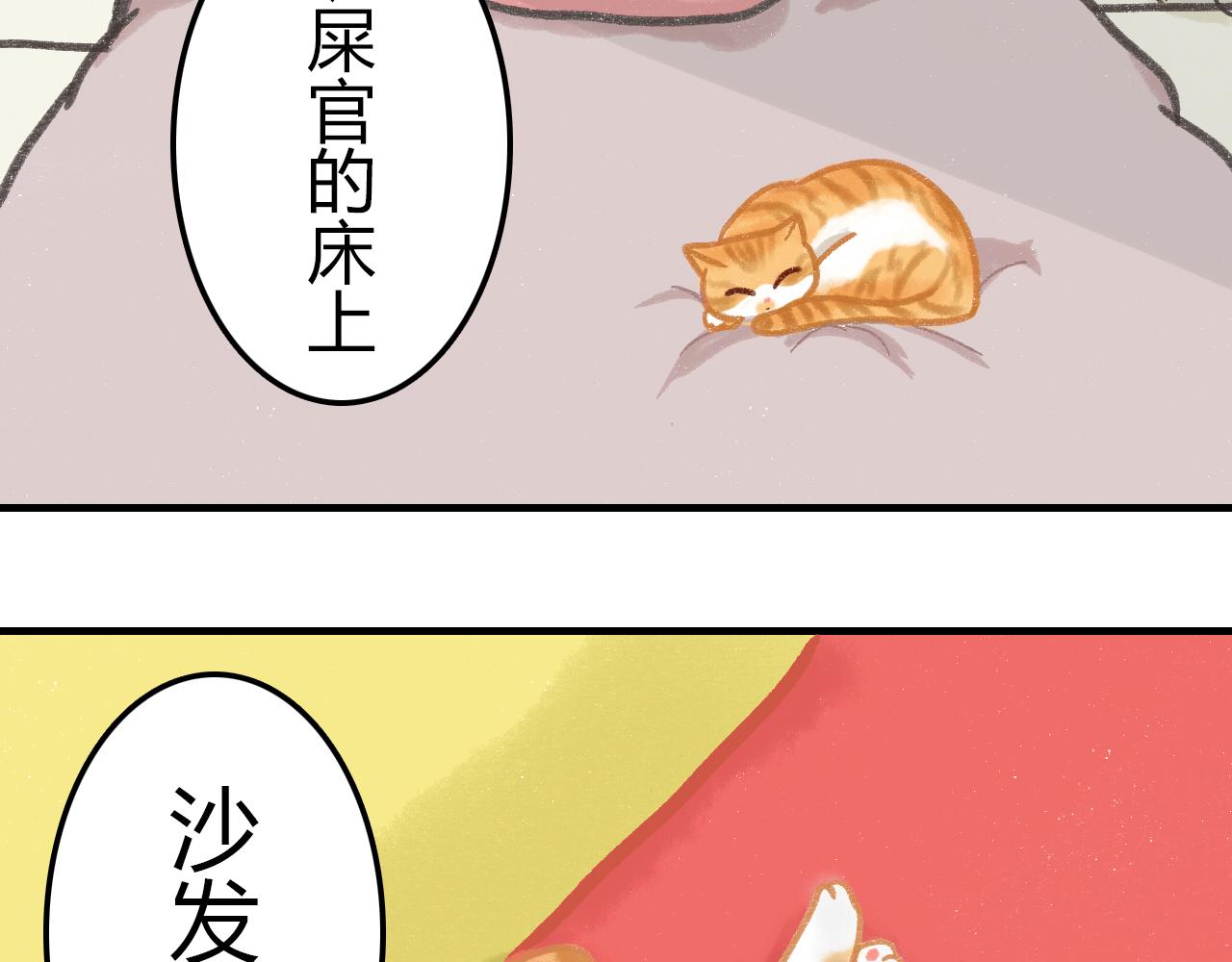 《宠物公寓》携宠入住？要搬家了！ 第11页