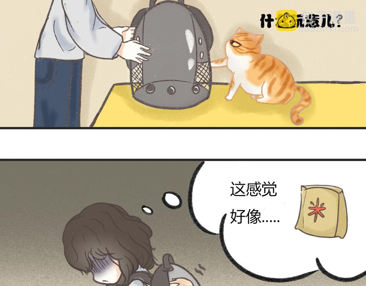 《宠物公寓》携宠入住？要搬家了！ 第16页