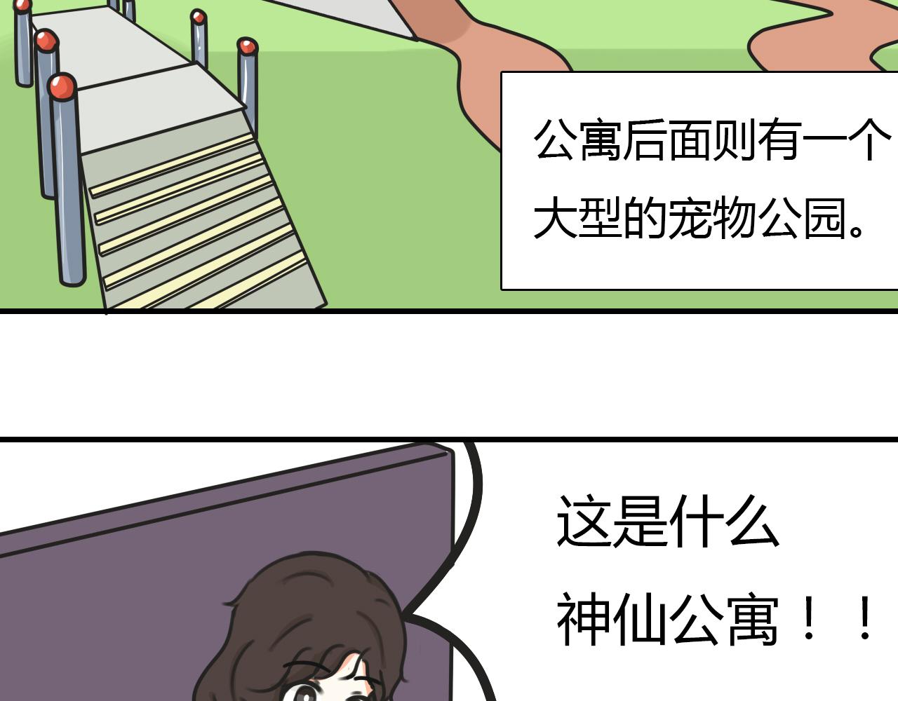 《宠物公寓》携宠入住？要搬家了！ 第5页