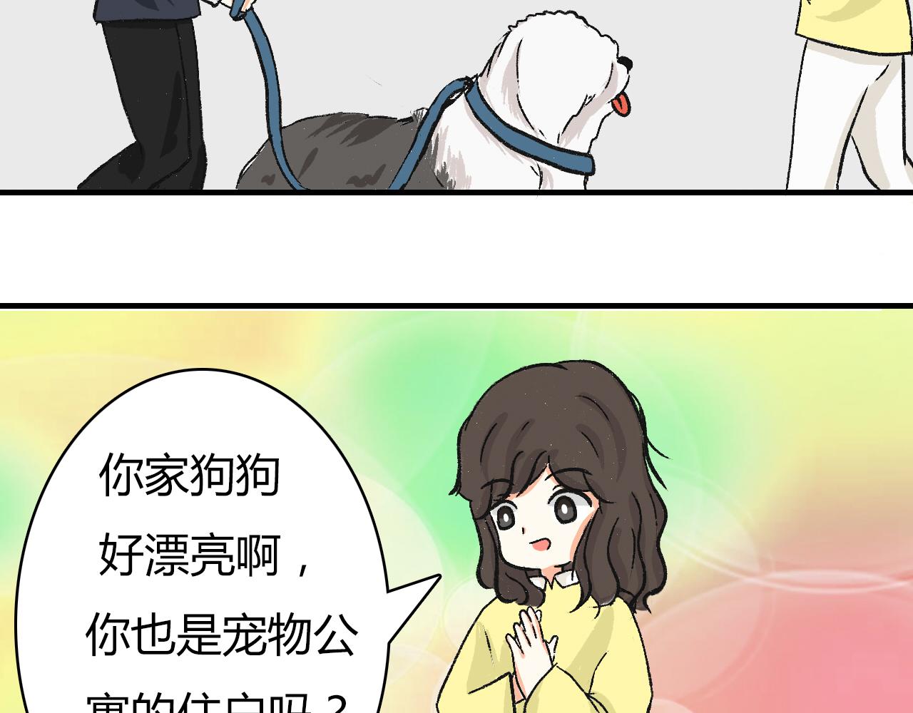 《宠物公寓》头发太多也很烦恼 第10页