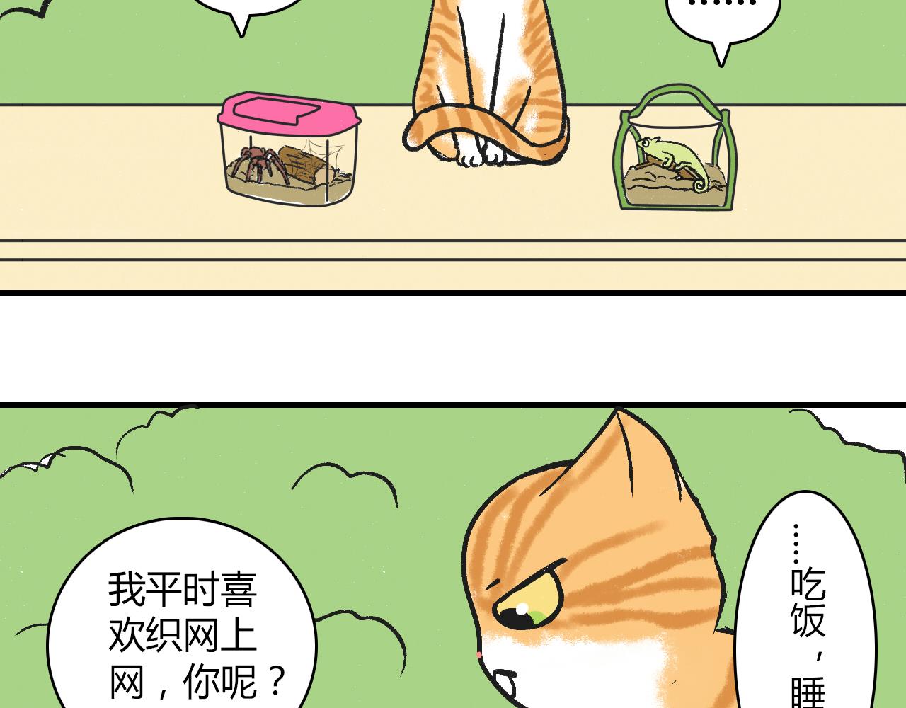 《宠物公寓》头发太多也很烦恼 第4页