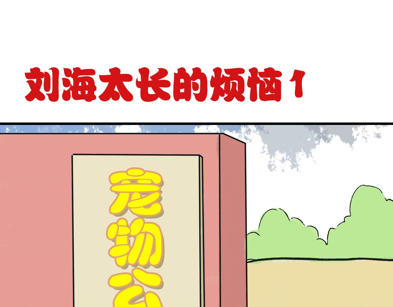 《宠物公寓》头发太多也很烦恼 第8页