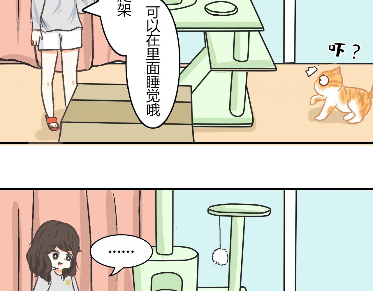 《宠物公寓》猜不透猫 第11页