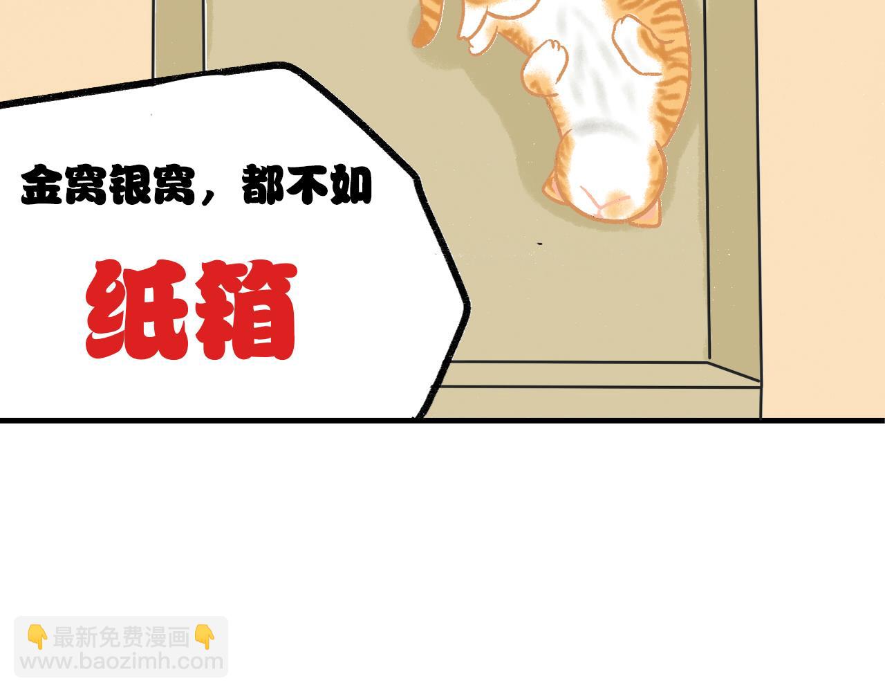 《宠物公寓》猜不透猫 第14页