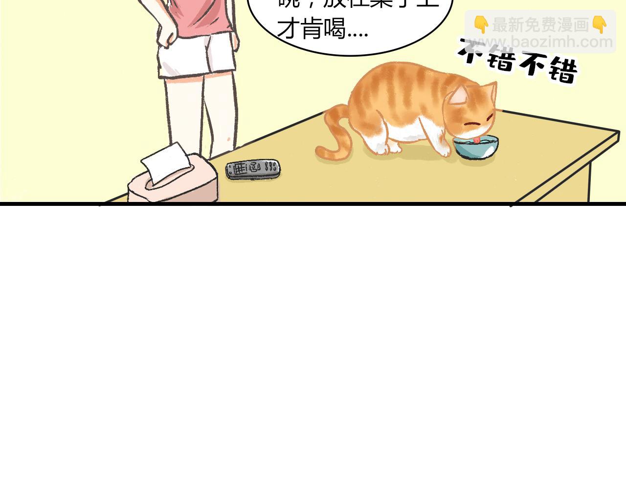《宠物公寓》猜不透猫 第7页