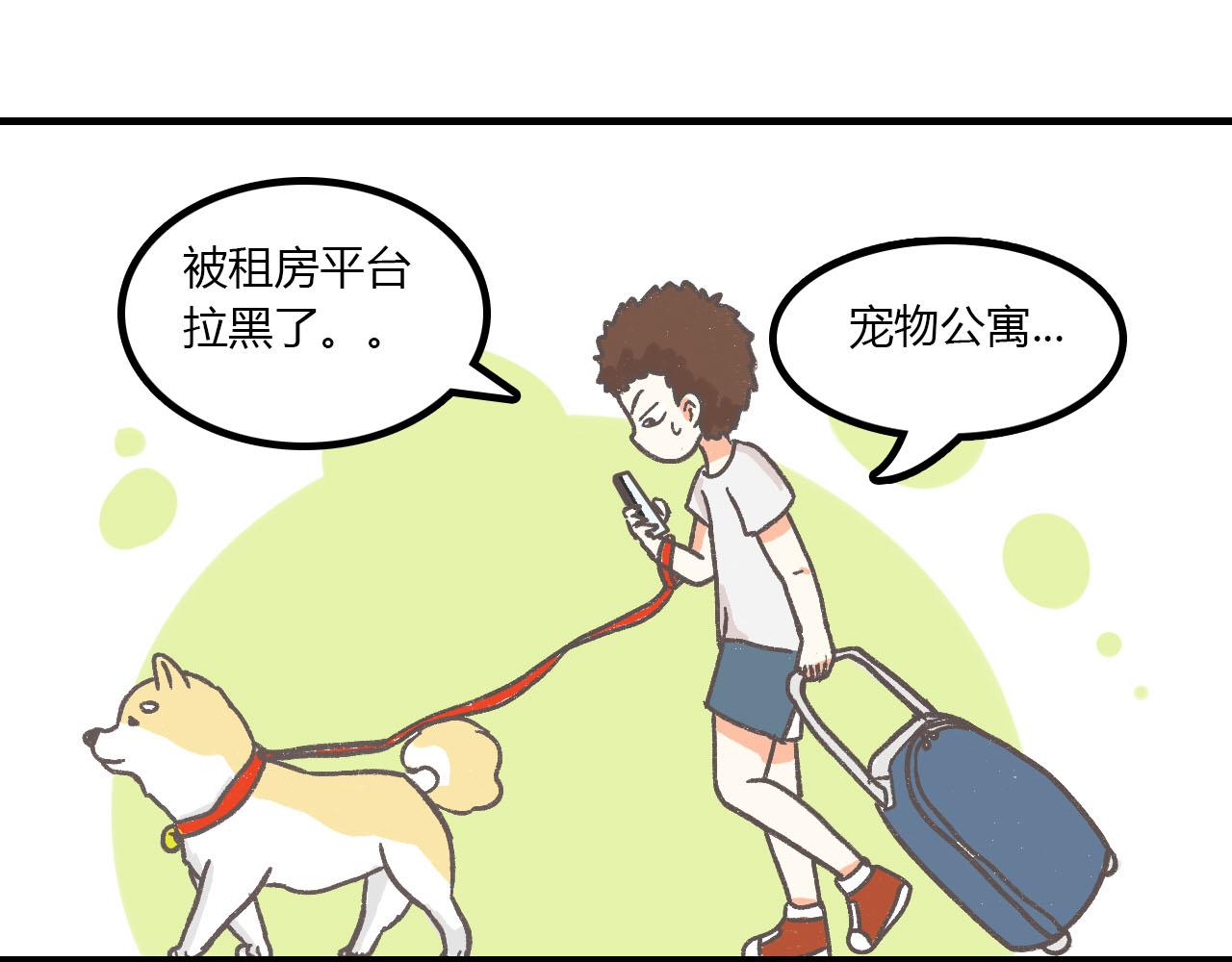 《宠物公寓》有只二哈属性的柴犭 第11页