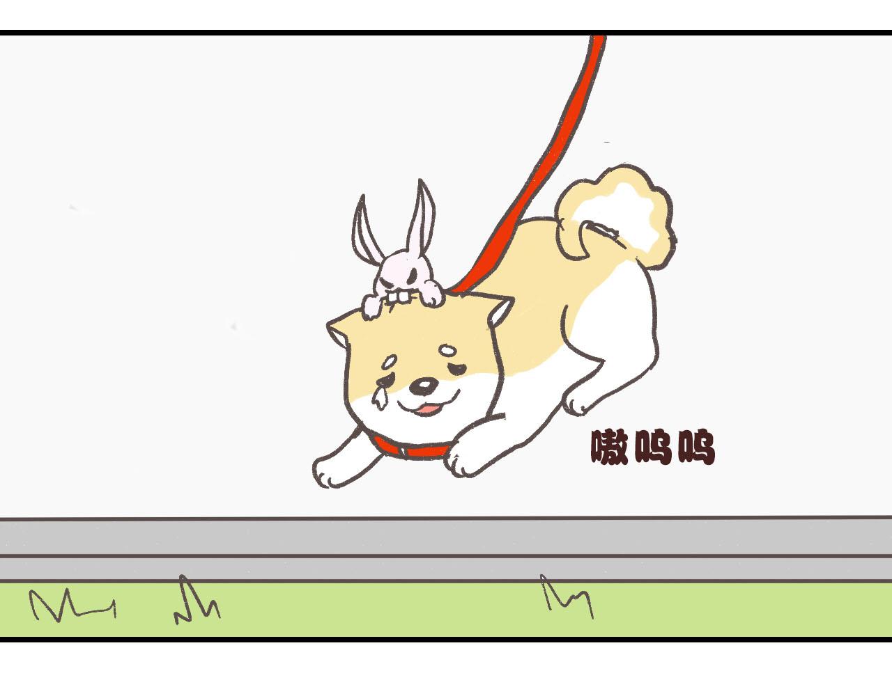 《宠物公寓》有只二哈属性的柴犭 第22页