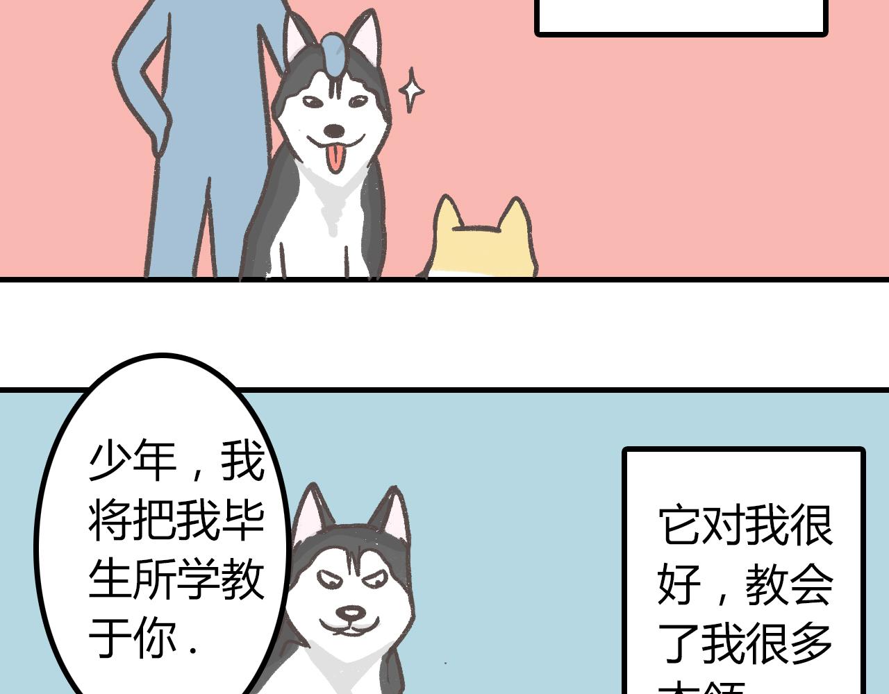 《宠物公寓》有只二哈属性的柴犭 第3页