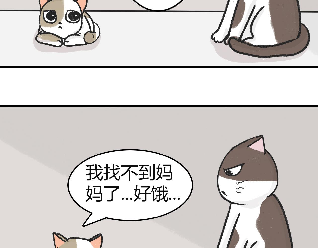 《宠物公寓》猫霸在线教徒 第11页