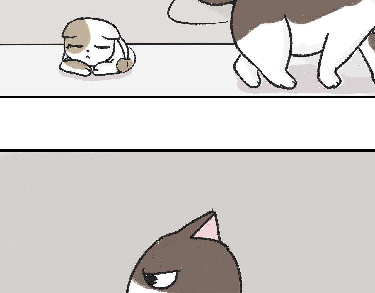 《宠物公寓》猫霸在线教徒 第13页