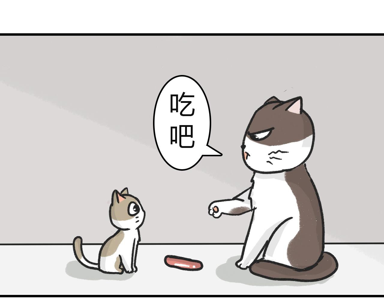 《宠物公寓》猫霸在线教徒 第16页
