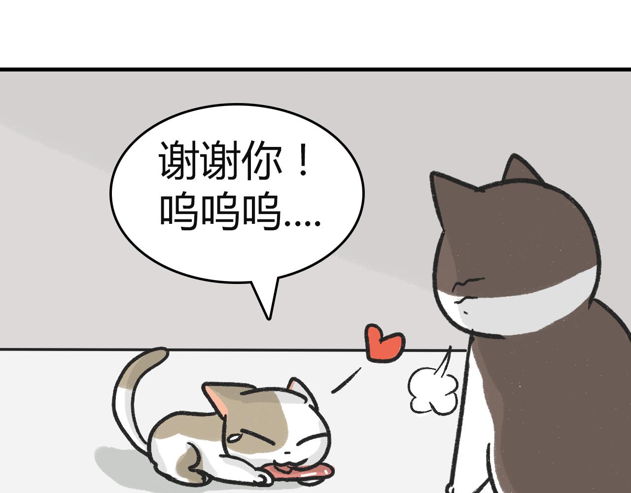 《宠物公寓》猫霸在线教徒 第18页