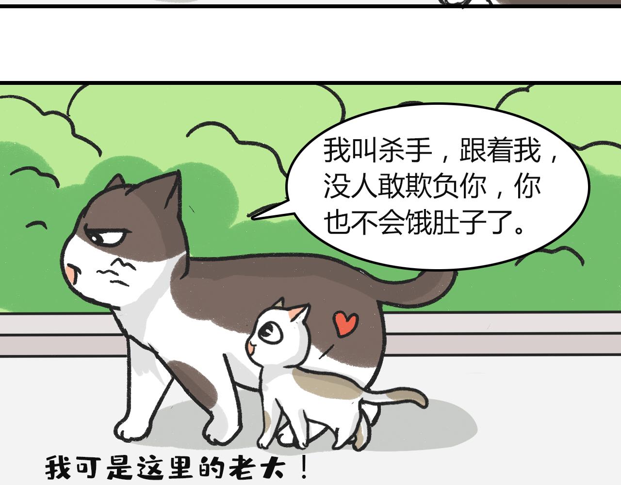 《宠物公寓》猫霸在线教徒 第19页