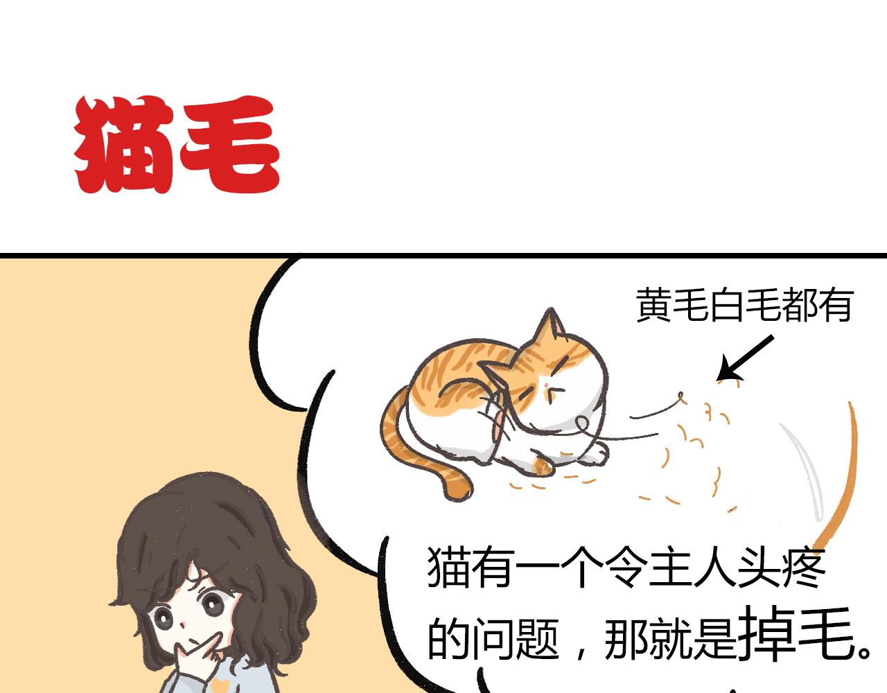 《宠物公寓》猫霸在线教徒 第1页