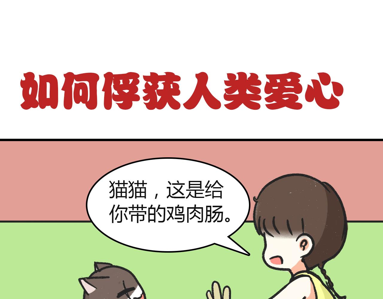 《宠物公寓》猫霸在线教徒 第21页