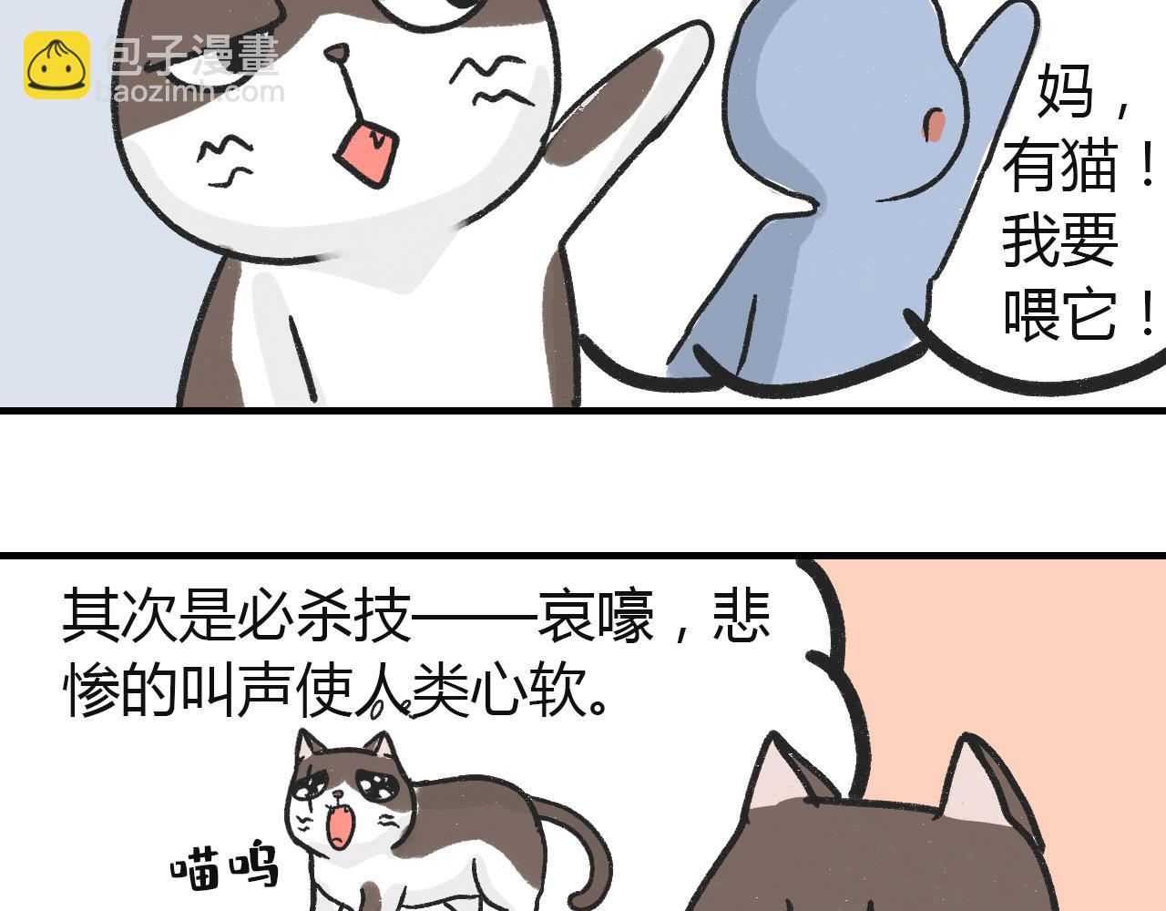 《宠物公寓》猫霸在线教徒 第26页