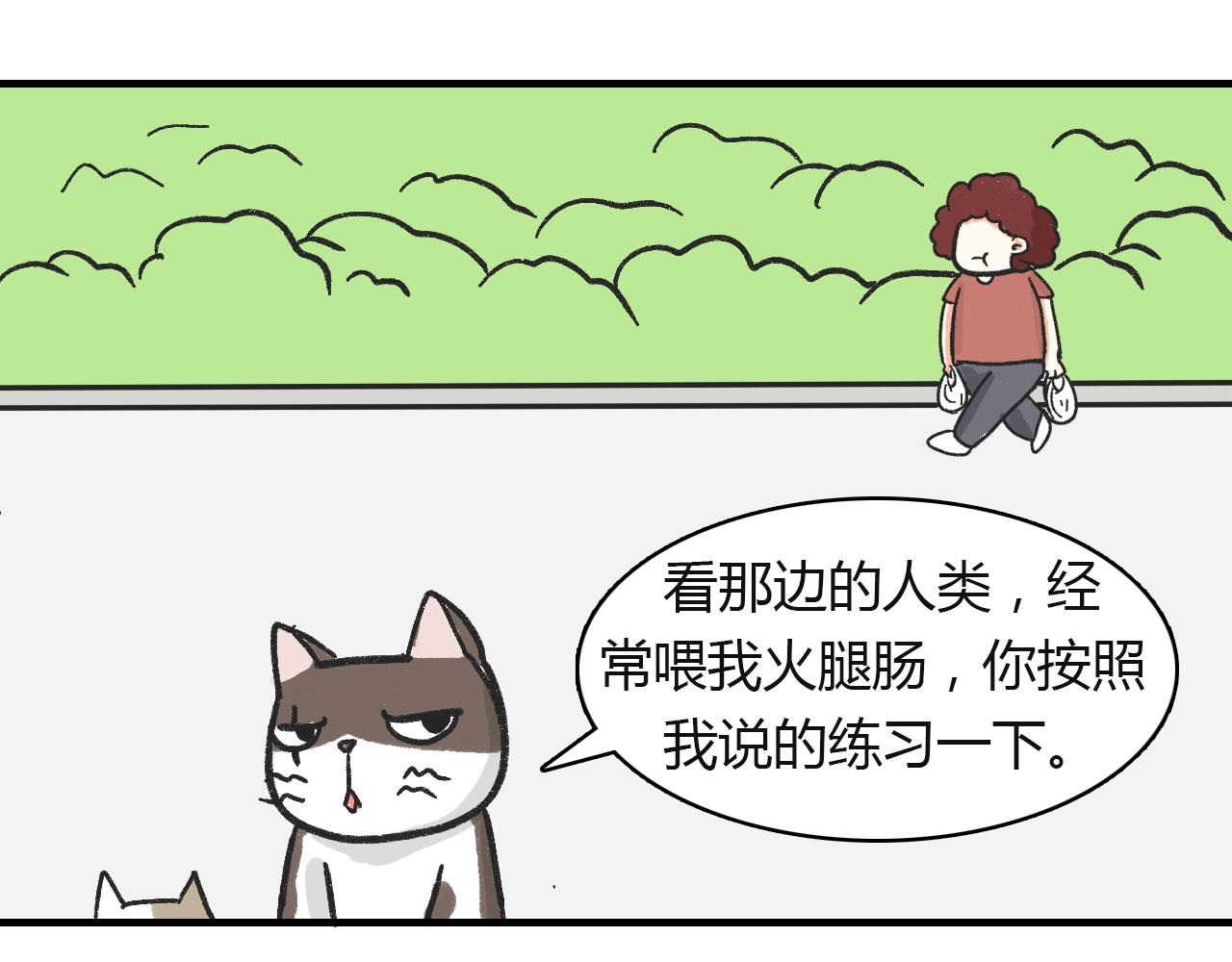 《宠物公寓》猫霸在线教徒 第29页