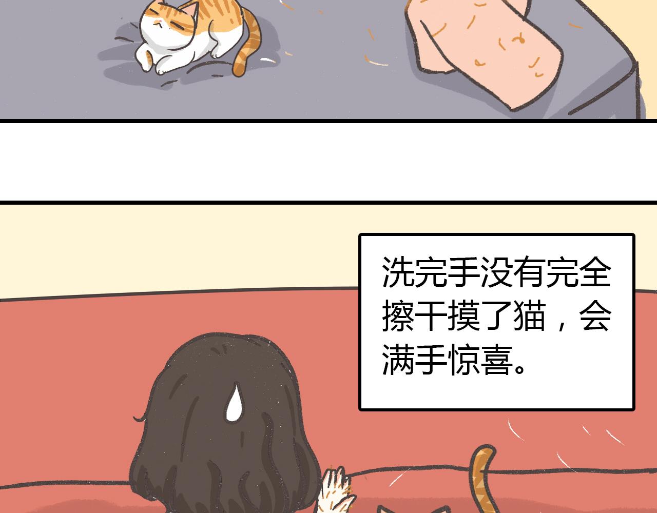 《宠物公寓》猫霸在线教徒 第3页