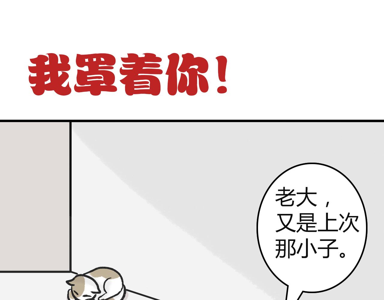 《宠物公寓》猫霸在线教徒 第9页