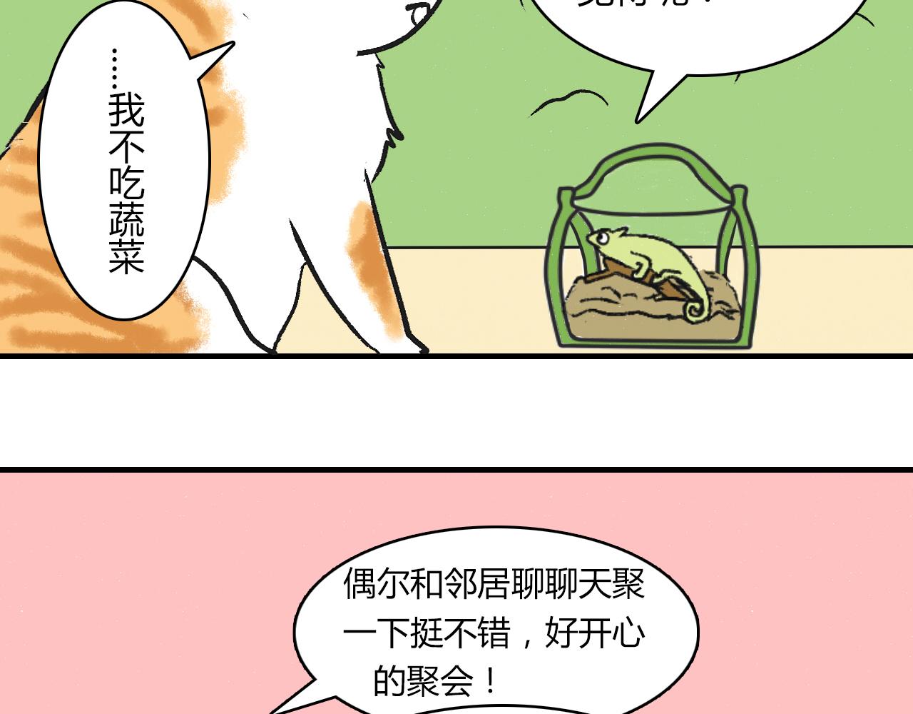 《宠物公寓》头发太多也很烦恼 第6页