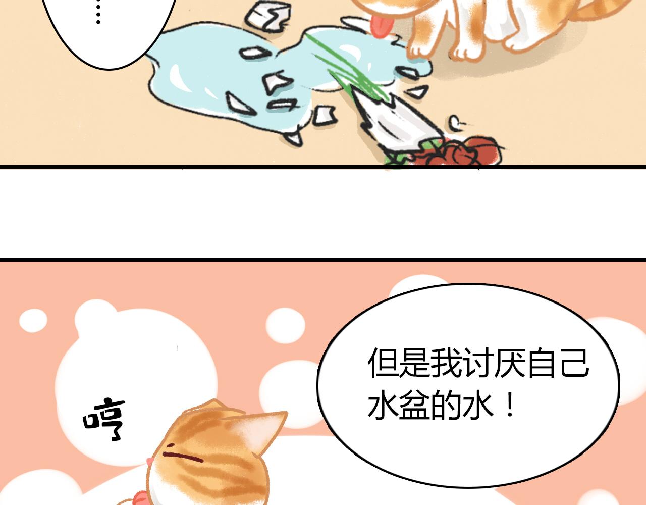 《宠物公寓》猜不透猫 第5页