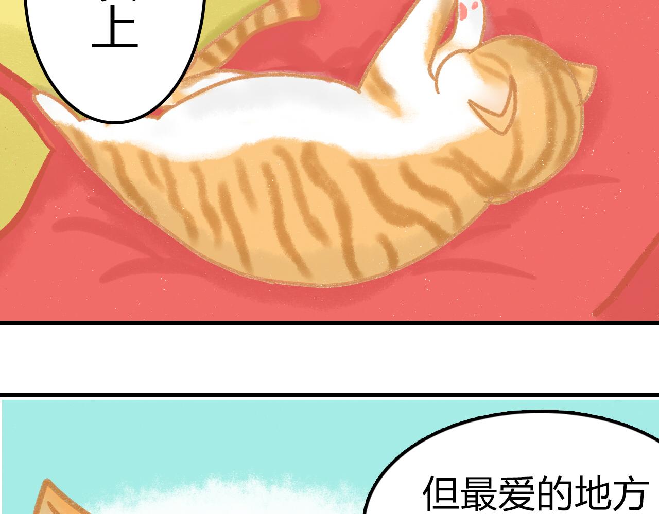 《宠物公寓》携宠入住？要搬家了！ 第12页