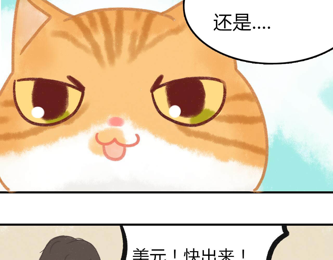 《宠物公寓》携宠入住？要搬家了！ 第13页