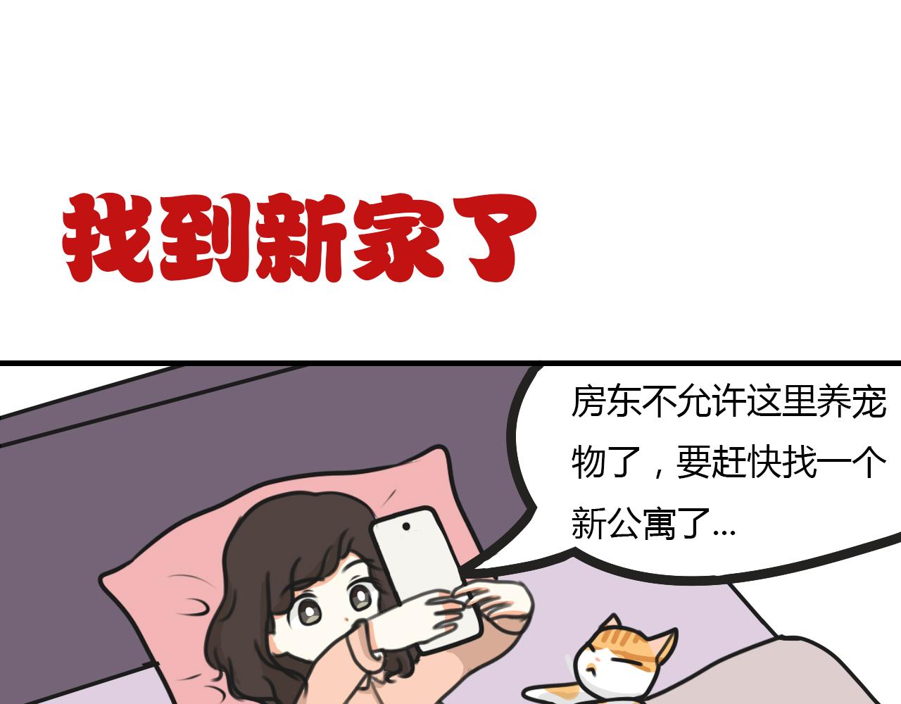 《宠物公寓》携宠入住？要搬家了！ 第1页