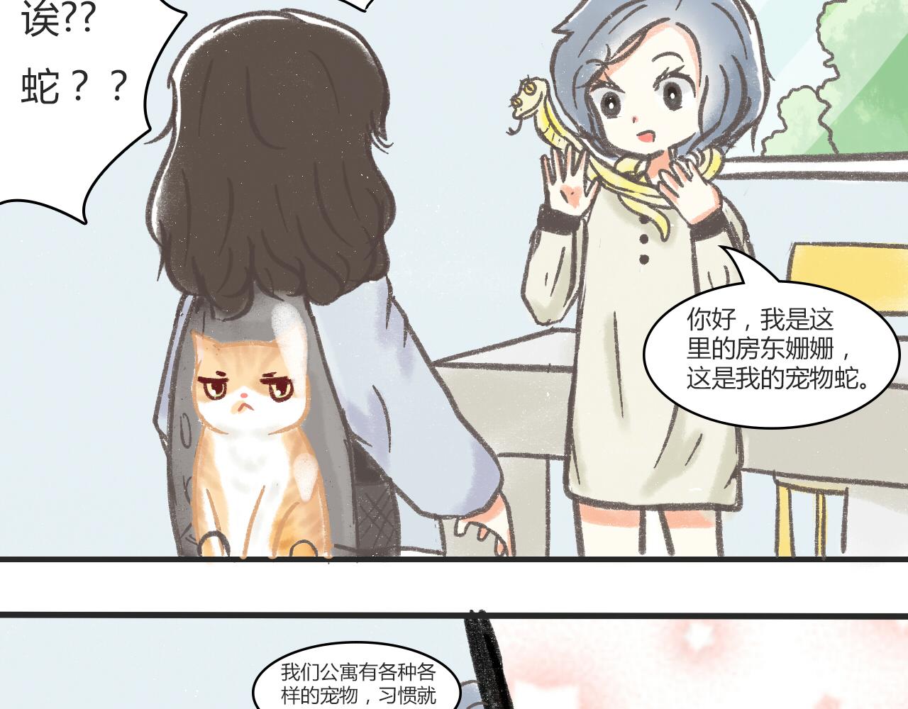 《宠物公寓》携宠入住？要搬家了！ 第21页