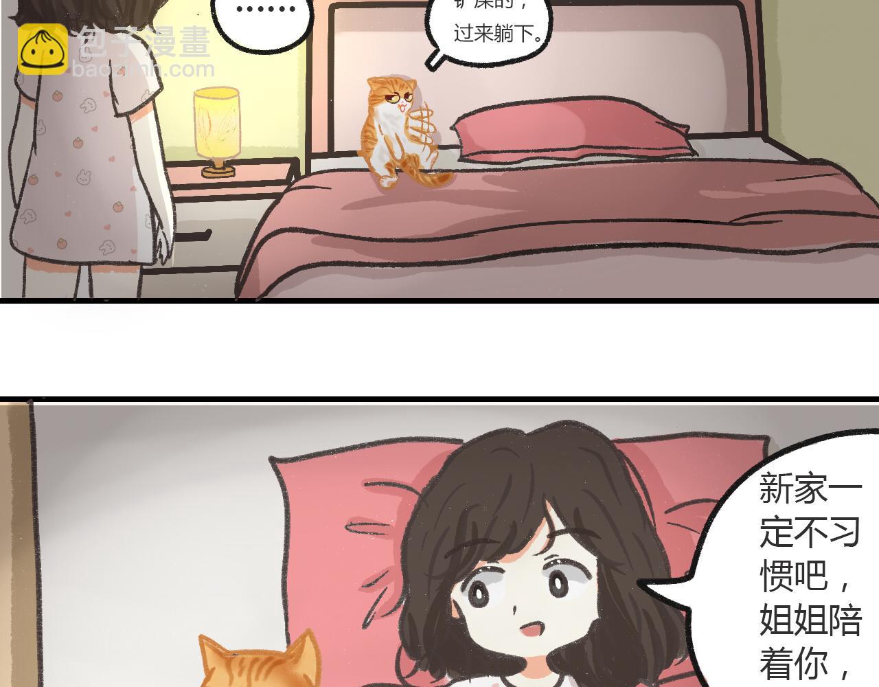 《宠物公寓》携宠入住？要搬家了！ 第25页