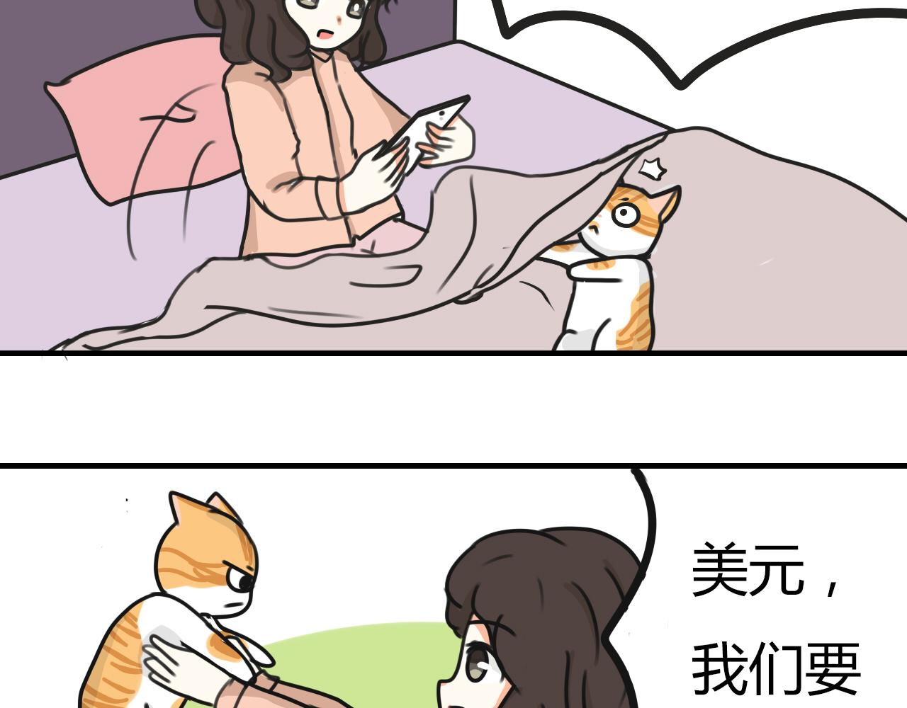 《宠物公寓》携宠入住？要搬家了！ 第6页