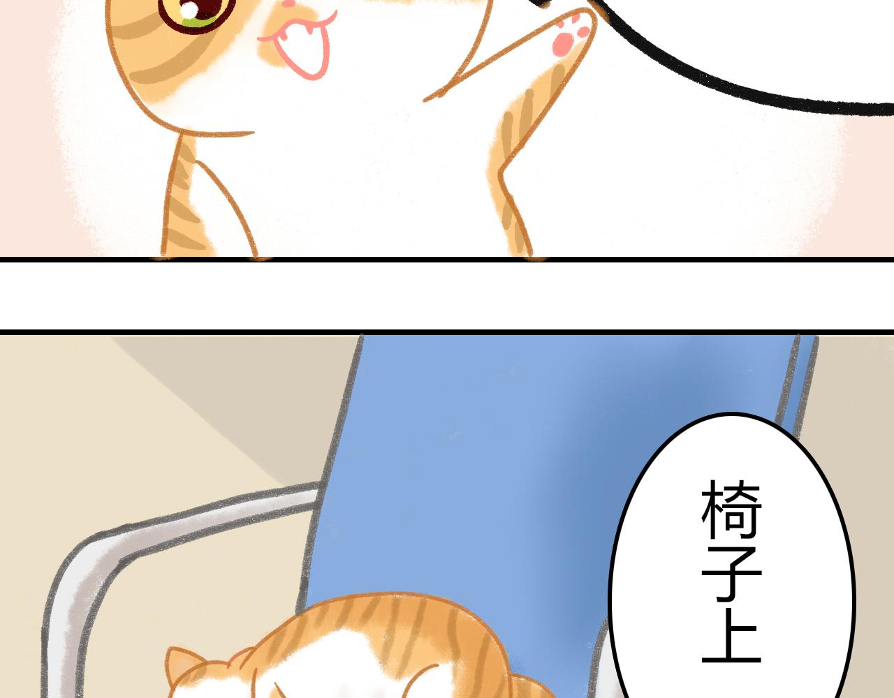 《宠物公寓》携宠入住？要搬家了！ 第9页