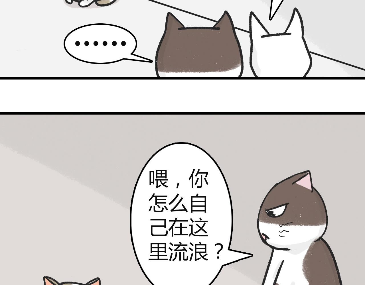 《宠物公寓》猫霸在线教徒 第10页