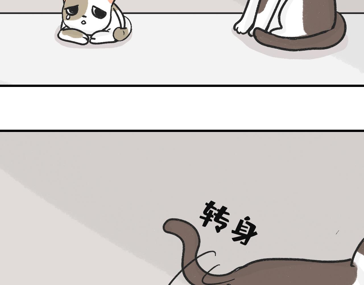 《宠物公寓》猫霸在线教徒 第12页