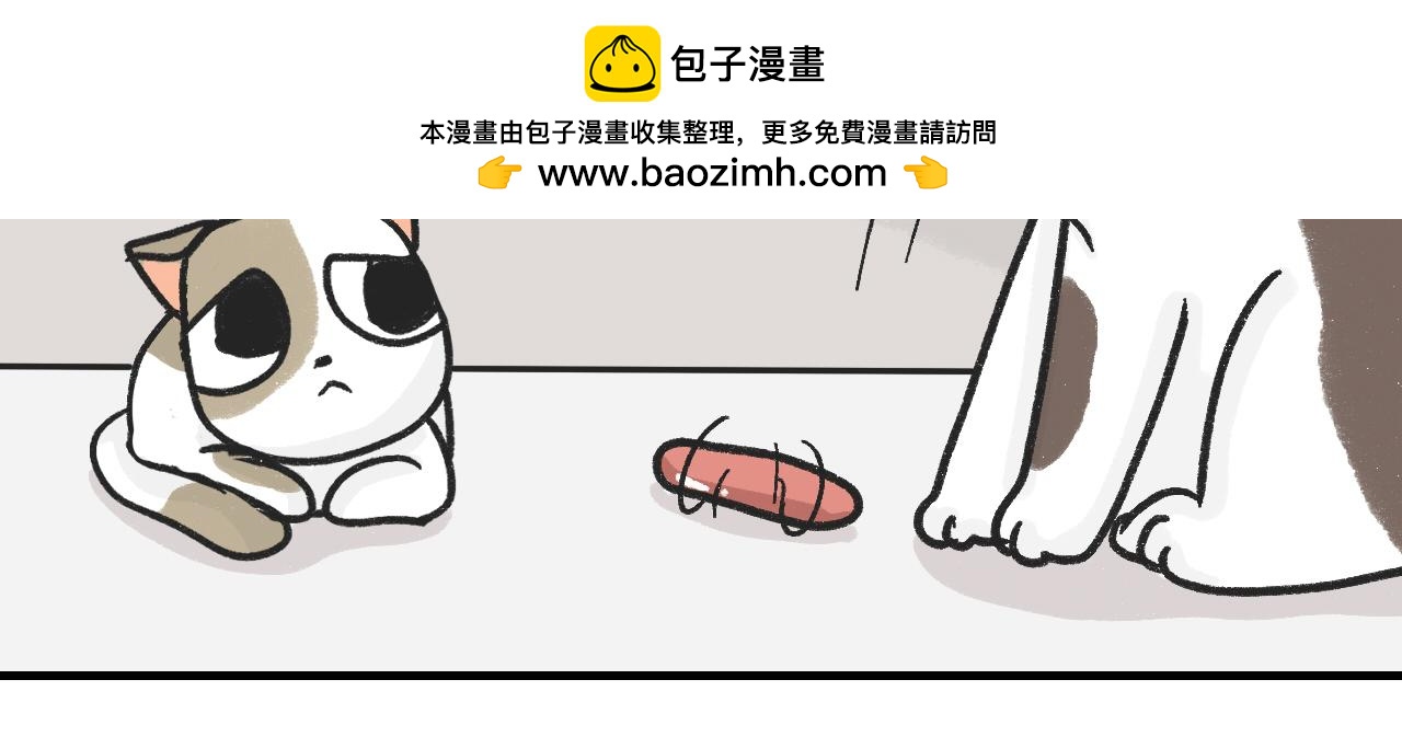《宠物公寓》猫霸在线教徒 第15页