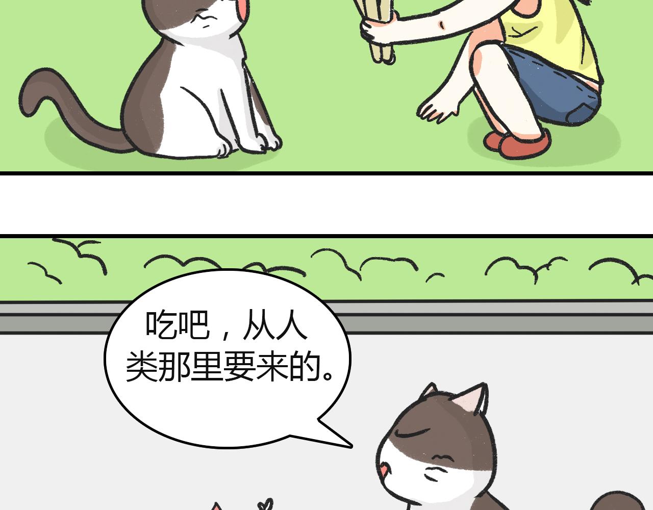 《宠物公寓》猫霸在线教徒 第22页