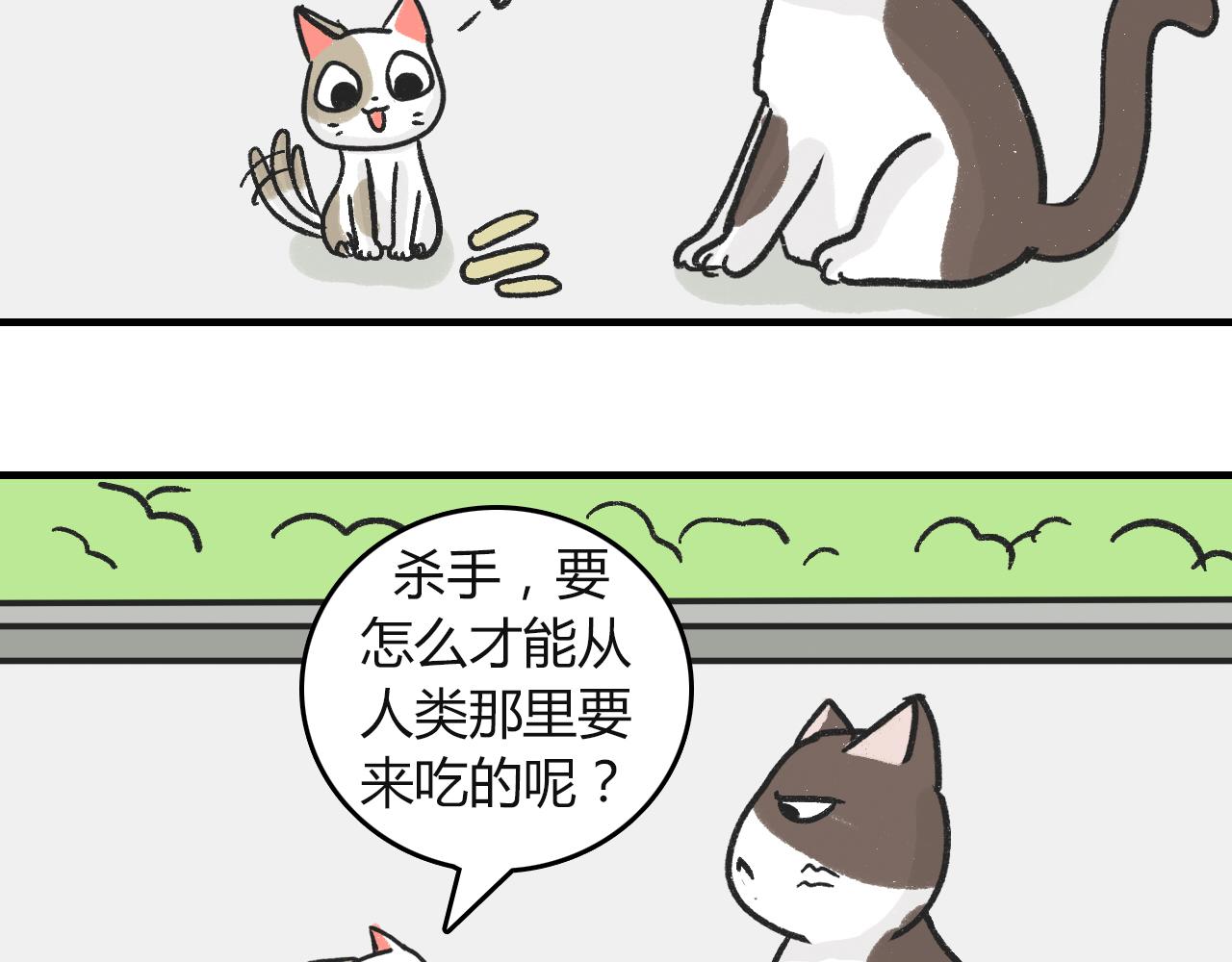 《宠物公寓》猫霸在线教徒 第23页
