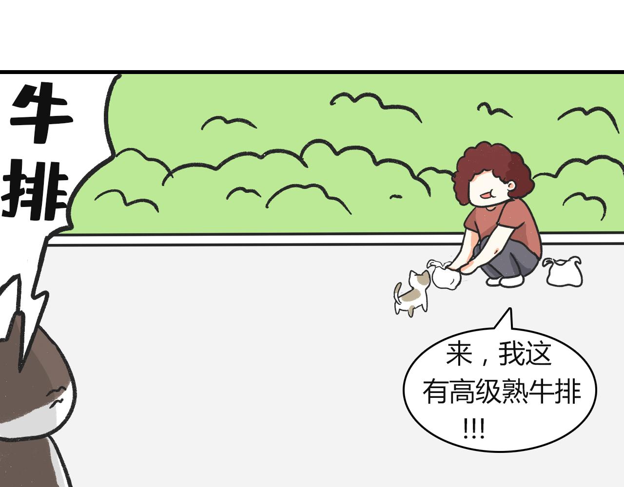 《宠物公寓》猫霸在线教徒 第31页