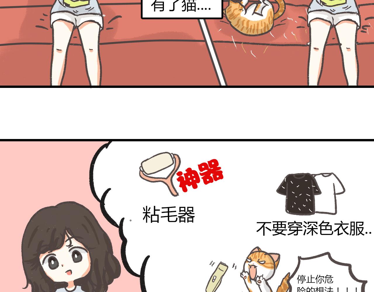 《宠物公寓》猫霸在线教徒 第5页