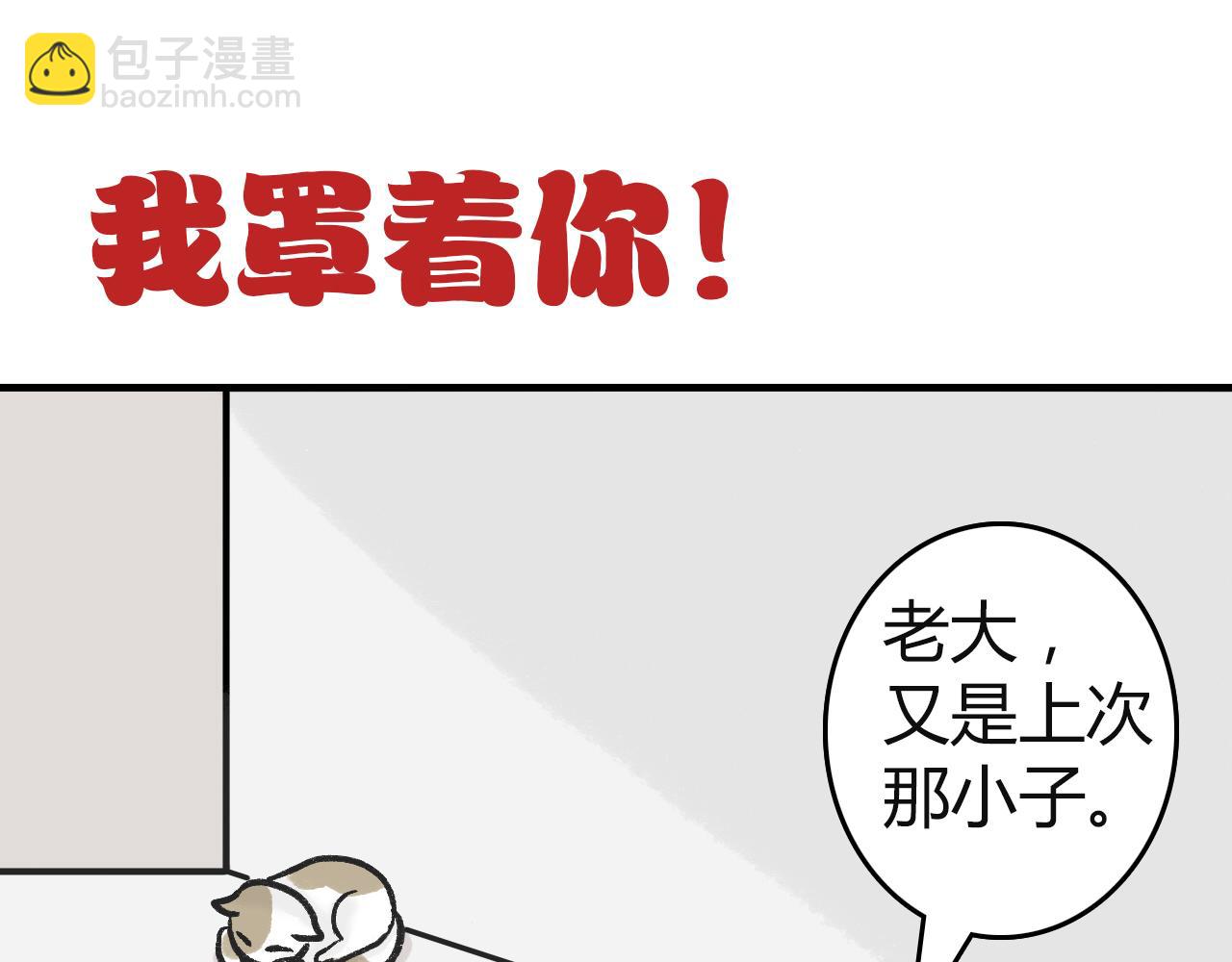 《宠物公寓》猫霸在线教徒 第9页