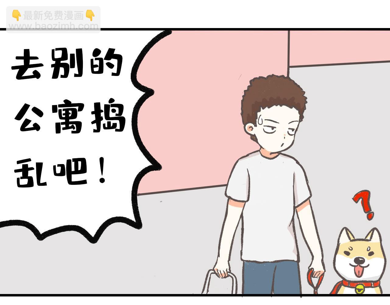 《宠物公寓》有只二哈属性的柴犭 第10页
