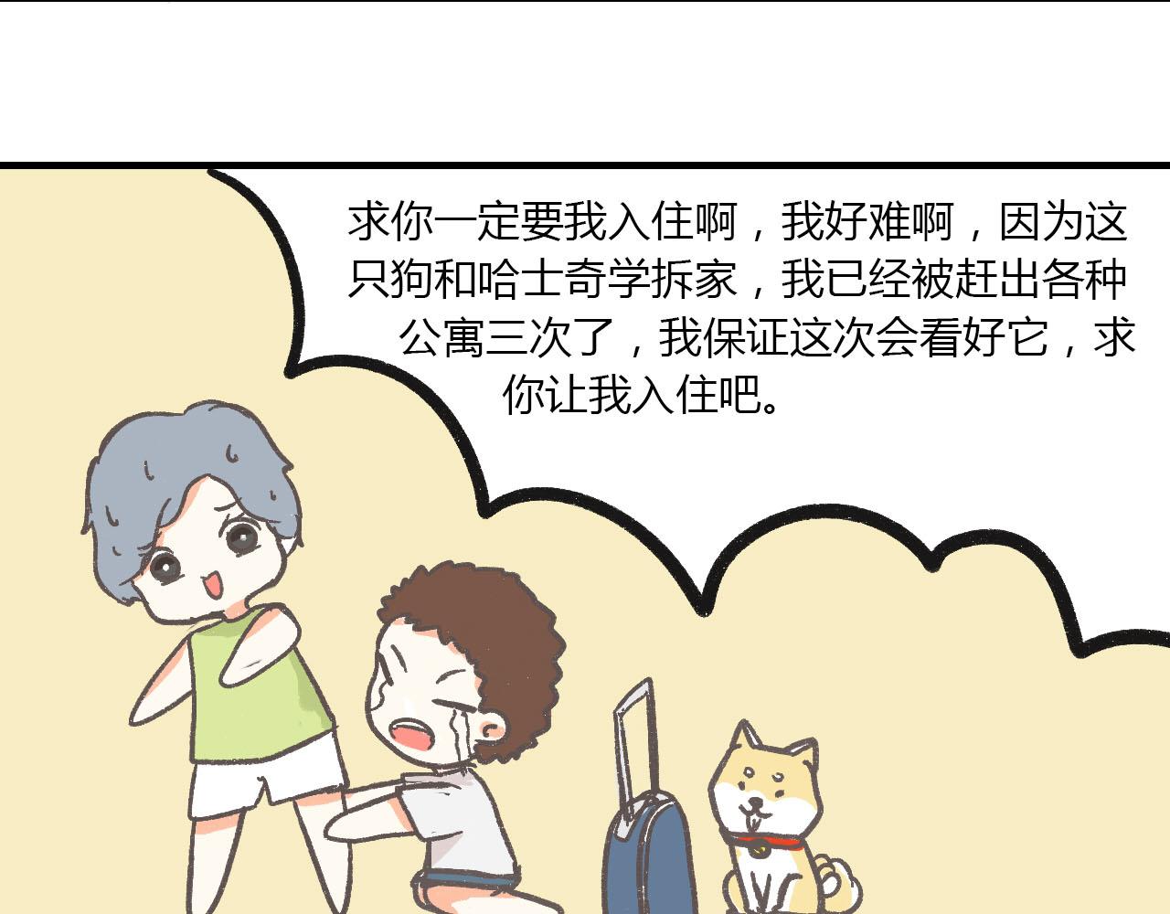 《宠物公寓》有只二哈属性的柴犭 第12页