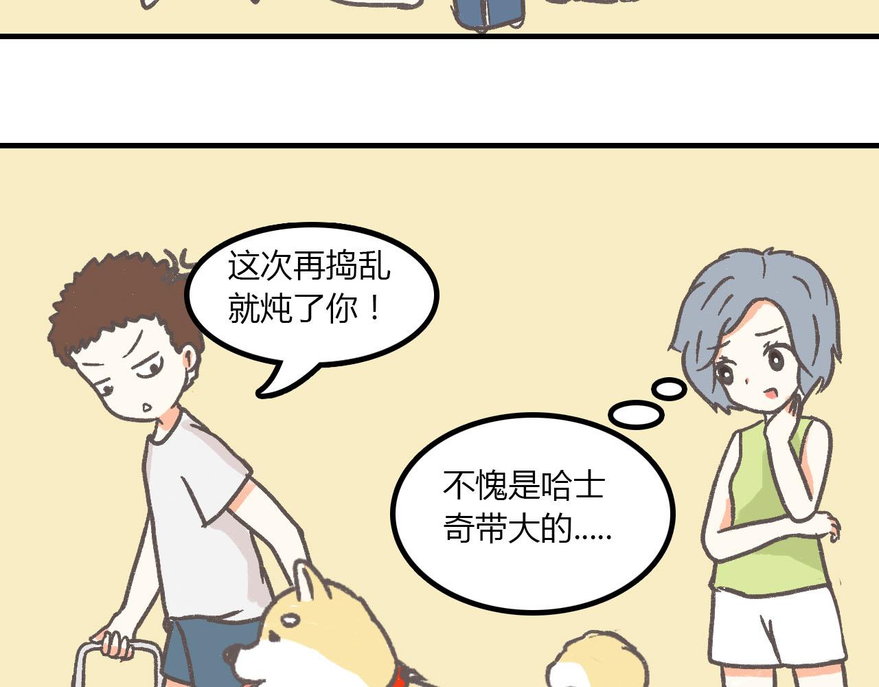《宠物公寓》有只二哈属性的柴犭 第13页