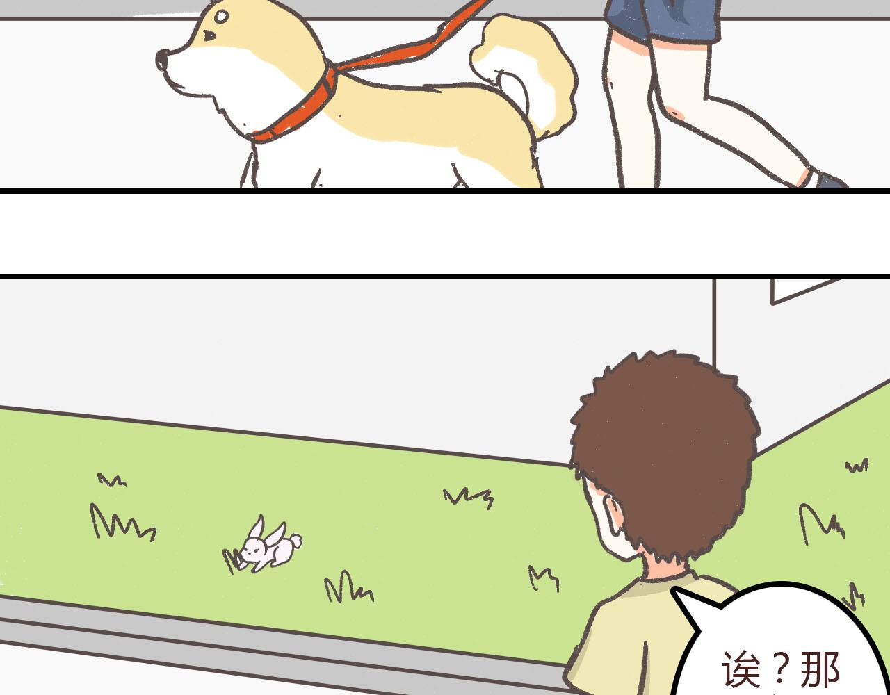 《宠物公寓》有只二哈属性的柴犭 第16页