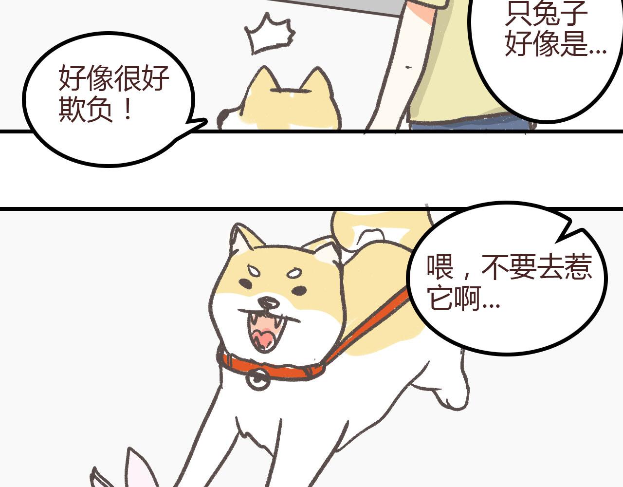 《宠物公寓》有只二哈属性的柴犭 第17页