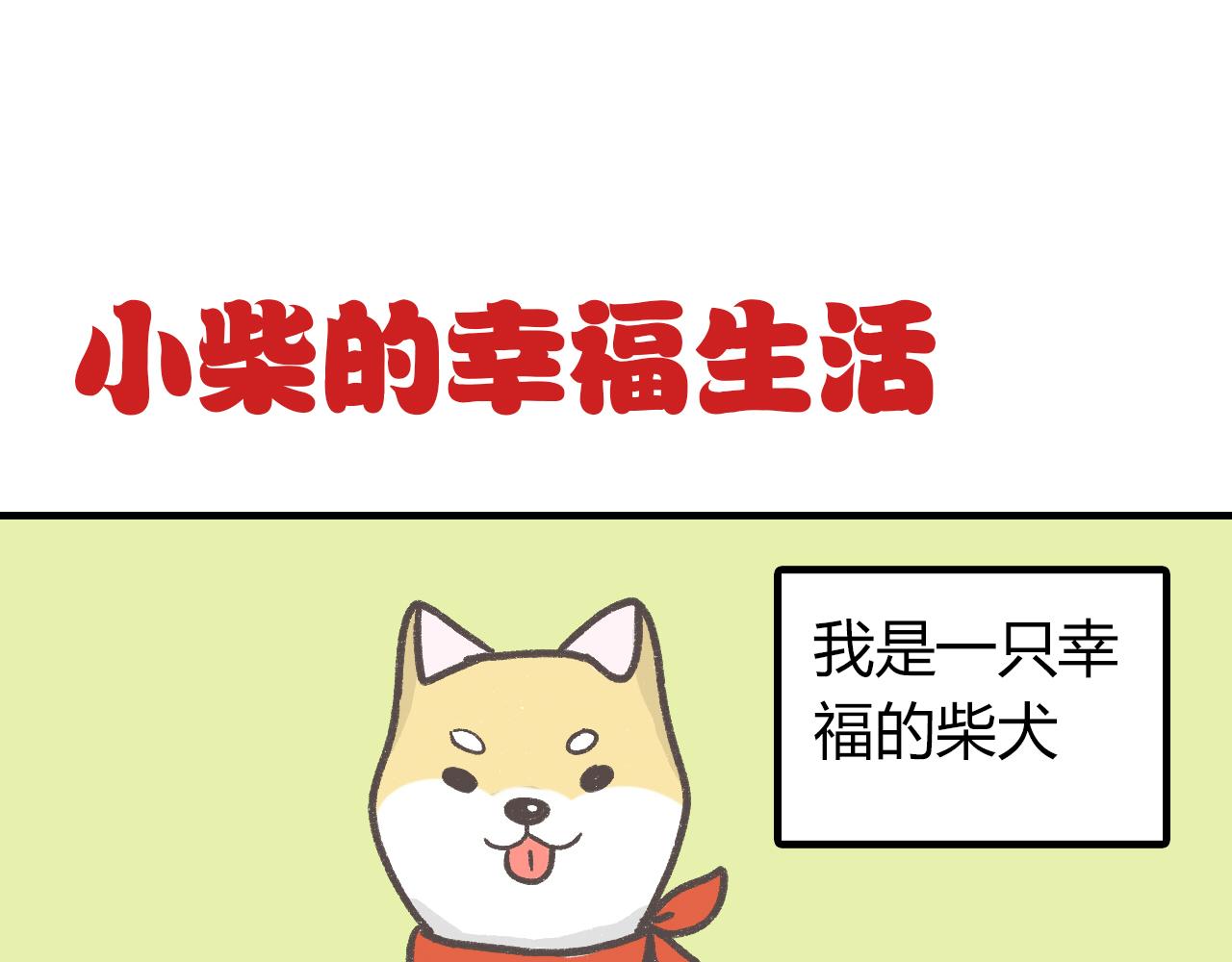 《宠物公寓》有只二哈属性的柴犭 第1页